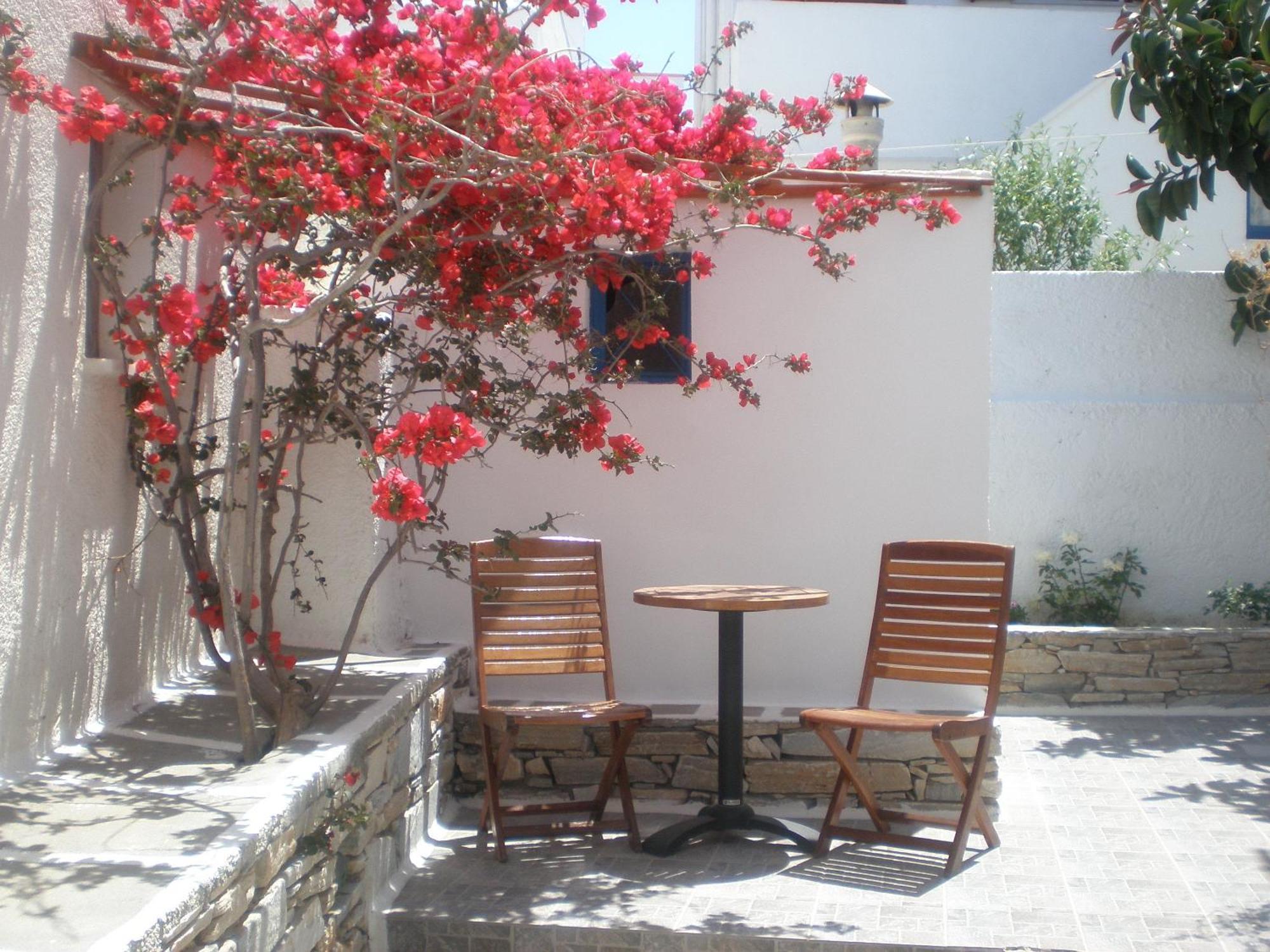 Armonia Pension Ίος Εξωτερικό φωτογραφία